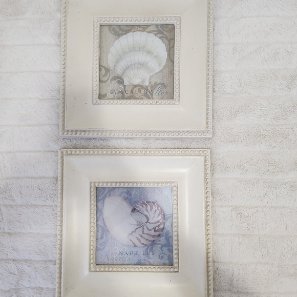 FRAMED SEASHELL PORTRAITS - Picture 3 of 5